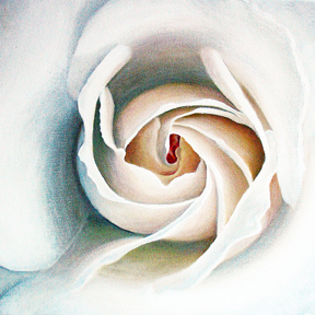White Bud